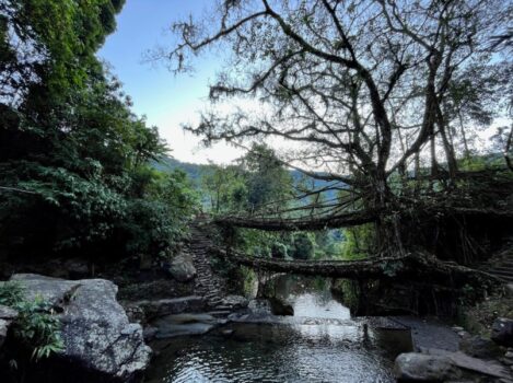 Muddie Trails Crosses 50,000 Travelers and Opens New Journeys into Tawang and Meghalaya